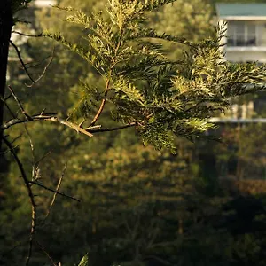 Falcon Crest Semesteranläggning (resort) Vagamon